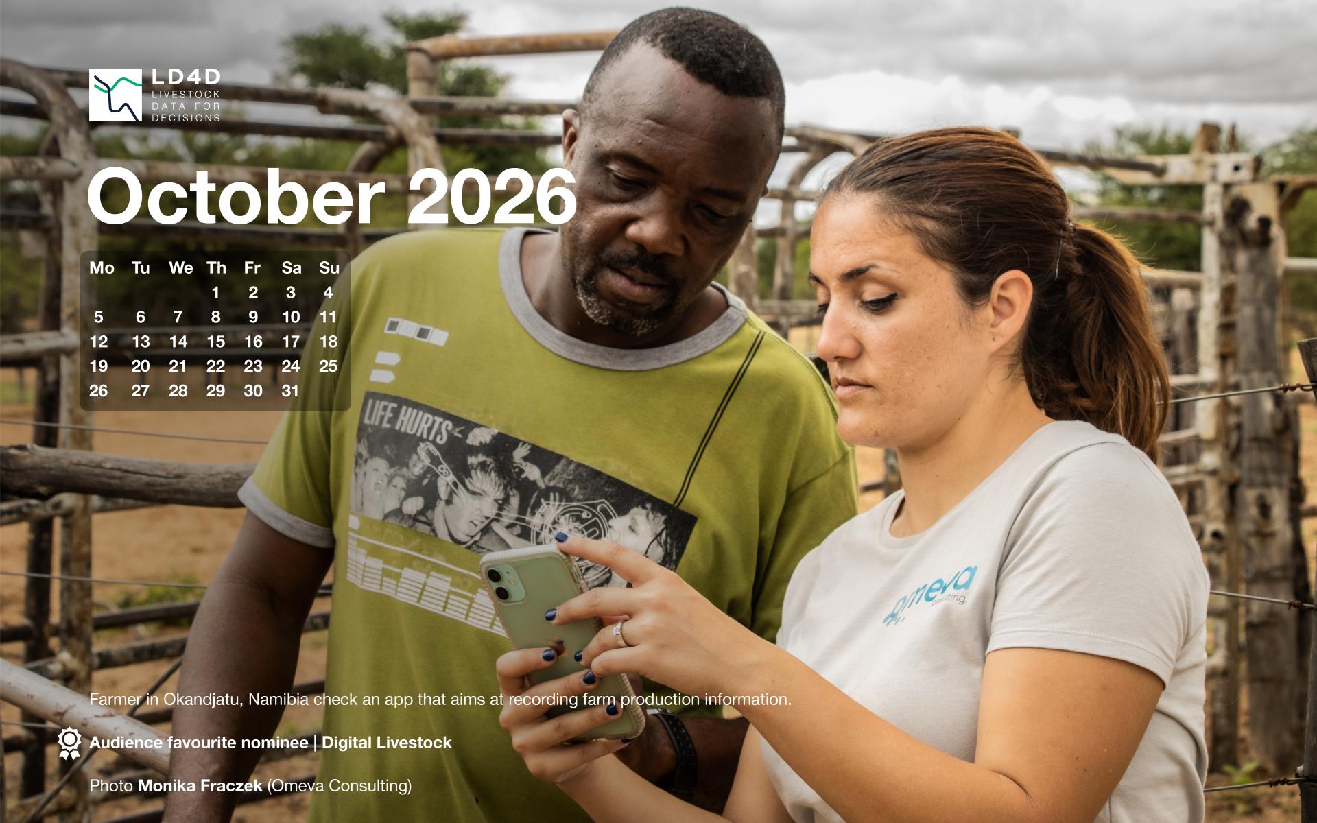 Farmer in Okandjatu, Namibia check an app that aims at recording farm production information.