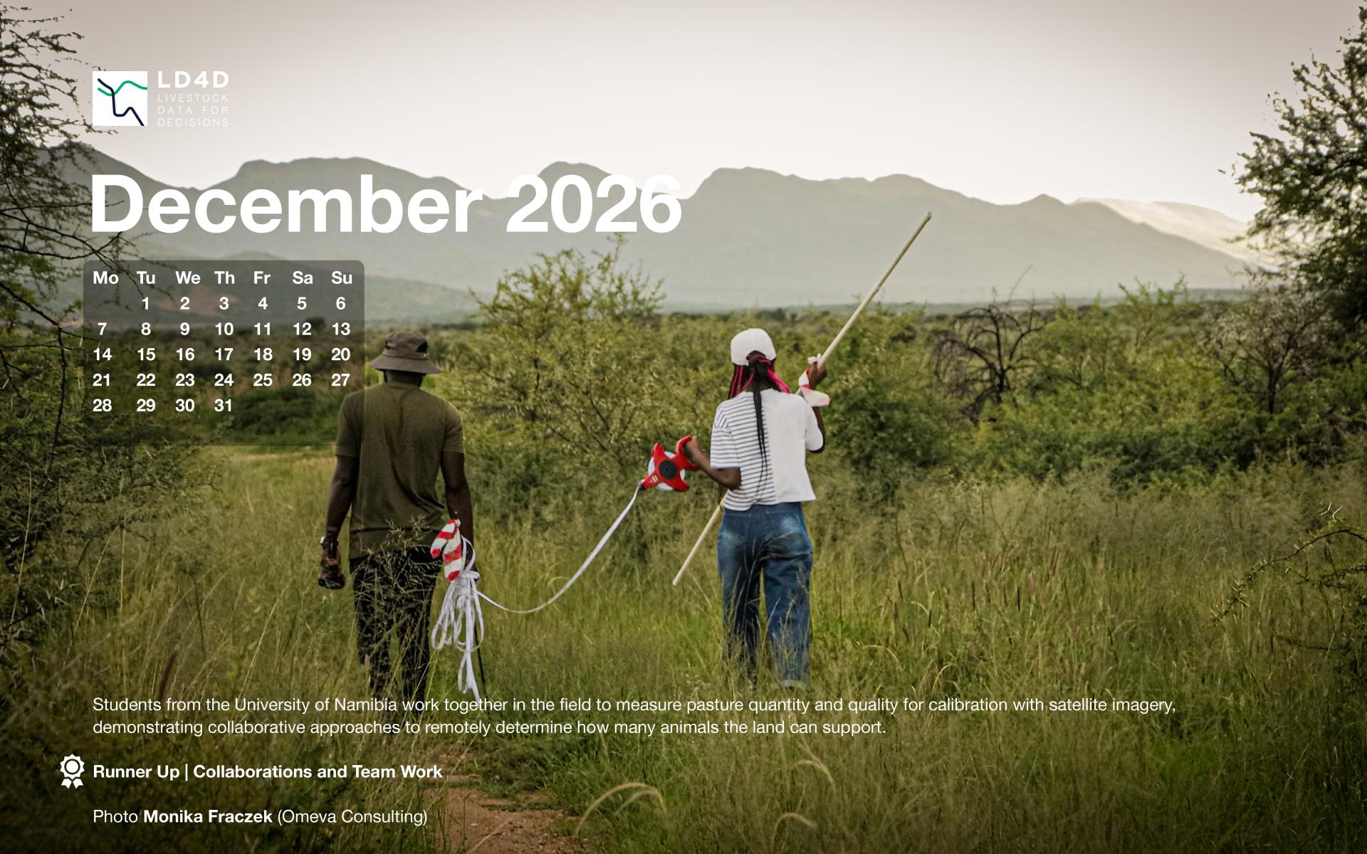 Students from the University of Namibia work together in the field to measure pasture quantity and quality for calibration with satellite imagery, demonstrating collaborative approaches to remotely determine how many animals the land can support.