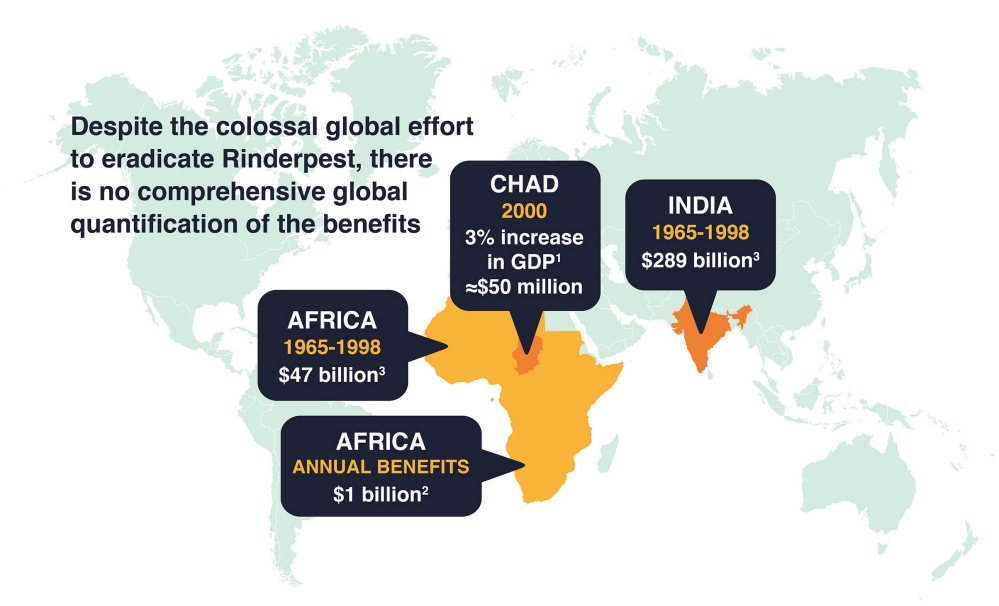Infographic: Rinderpest control